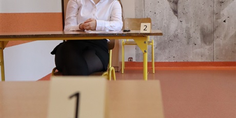 Powiększ grafikę: egzaminy-osmoklasisty-614681.jpg
