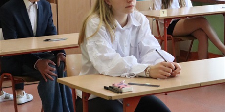 Powiększ grafikę: egzaminy-osmoklasisty-614686.jpg