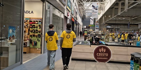 Powiększ grafikę: kwesta-684916.jpg