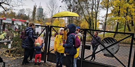 Powiększ grafikę: kwesta-na-cmentarzu-652008.jpg