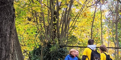 Powiększ grafikę: kwesta-na-cmentarzu-652011.jpg