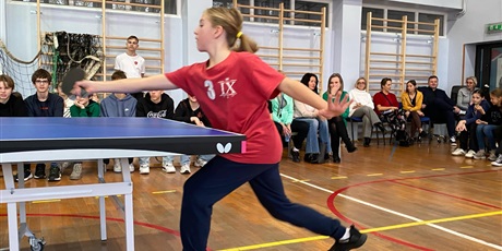 Powiększ grafikę: ping-pong-mikolajkowy-576082.jpg