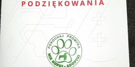 Powiększ grafikę: podsumowanie-zbiorki-306304.jpg