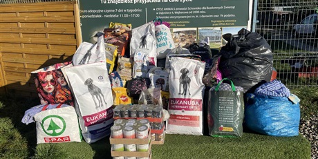 Podziękowania ze schroniska