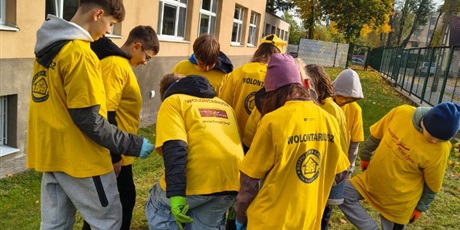 Powiększ grafikę: pola-nadziei-648920.jpg