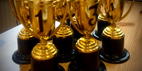 Powiększ grafikę: wyniki-szkolnego-przegladu-talentow-684002.jpg