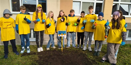 Powiększ grafikę: Szkolne Koło Wolontariatu